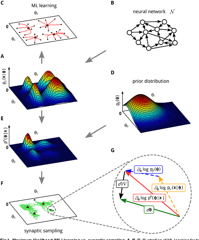 Figure 1 for Network Plasticity as Bayesian Inference