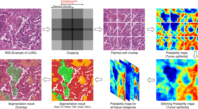 Figure 4 for Multi-Layer Pseudo-Supervision for Histopathology Tissue Semantic Segmentation using Patch-level Classification Labels
