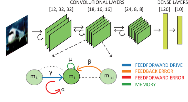 Figure 1 for On the role of feedback in visual processing: a predictive coding perspective