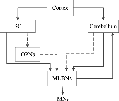 Figure 3 for Motion Control on Bionic Eyes: A Comprehensive Review