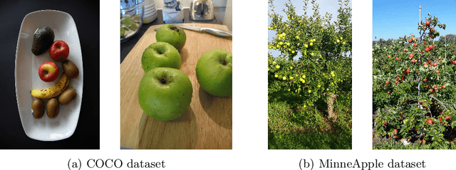 Figure 1 for Localizing Small Apples in Complex Apple Orchard Environments