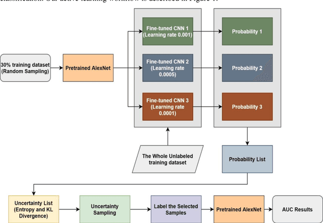 Figure 2 for A Transfer Learning Based Active Learning Framework for Brain Tumor Classification