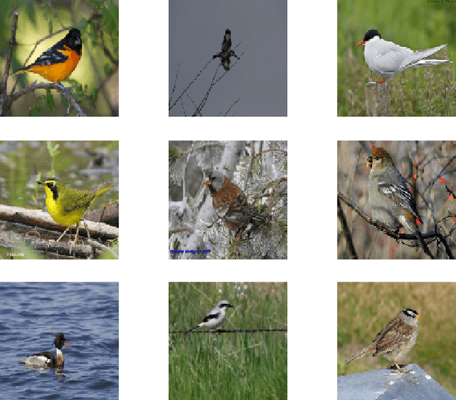 Figure 4 for From Principal Subspaces to Principal Components with Linear Autoencoders