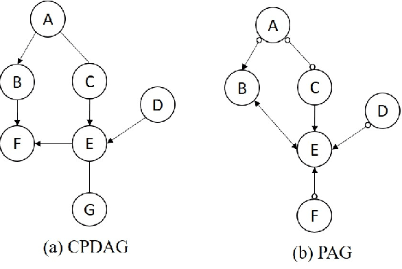 Figure 1 for Kernel-based Approach to Handle Mixed Data for Inferring Causal Graphs