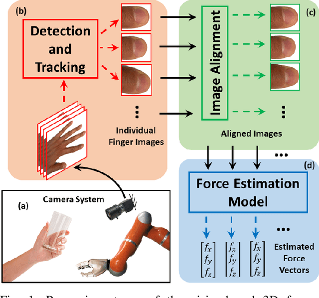 Figure 1 for Real-Time Tactile Grasp Force Sensing Using Fingernail Imaging via Deep Neural Networks
