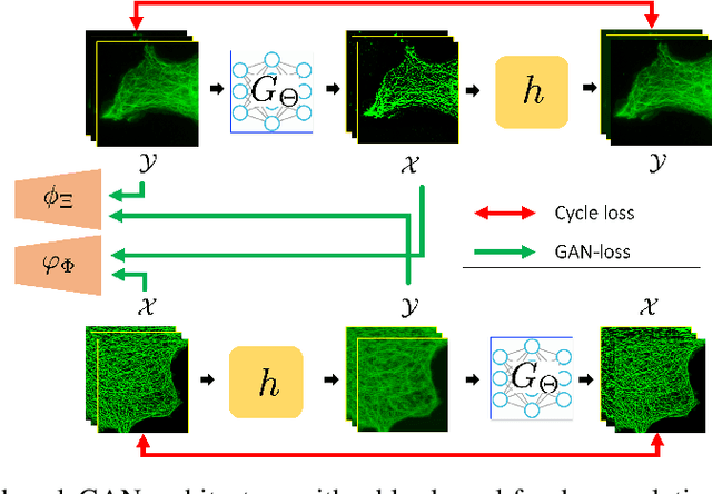 Figure 4 for Optimal Transport, CycleGAN, and Penalized LS for Unsupervised Learning in Inverse Problems