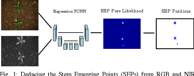 Figure 1 for From Plants to Landmarks: Time-invariant Plant Localization that uses Deep Pose Regression in Agricultural Fields