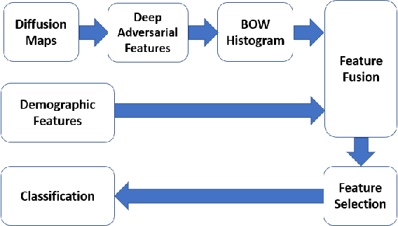 Figure 1 for MTBI Identification From Diffusion MR Images Using Bag of Adversarial Visual Features