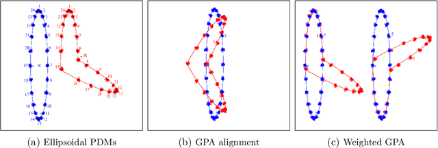 Figure 1 for Statistical analysis of locally parameterized shapes