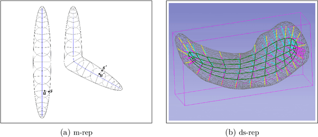 Figure 3 for Statistical analysis of locally parameterized shapes