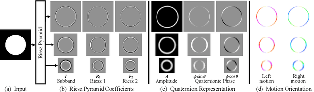 Figure 1 for Mean Oriented Riesz Features for Micro Expression Classification