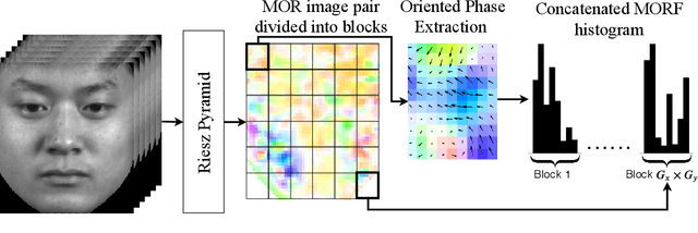 Figure 3 for Mean Oriented Riesz Features for Micro Expression Classification