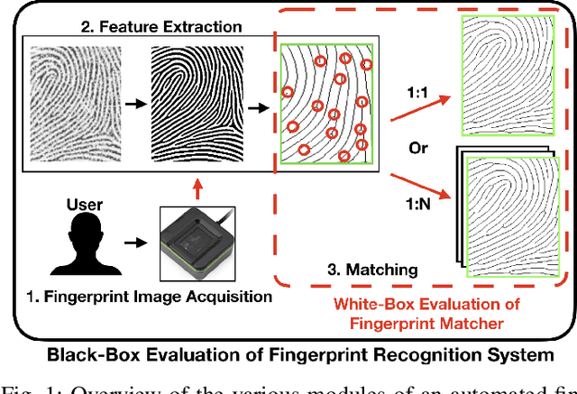 Figure 1 for White-Box Evaluation of Fingerprint Recognition Systems