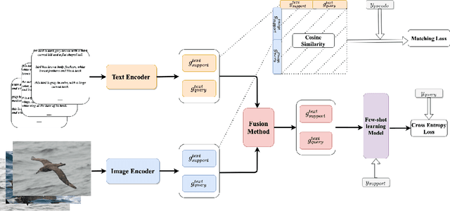 Figure 3 for Will Multi-modal Data Improves Few-shot Learning?