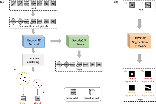 Figure 1 for A convolutional autoencoder approach for mining features in cellular electron cryo-tomograms and weakly supervised coarse segmentation