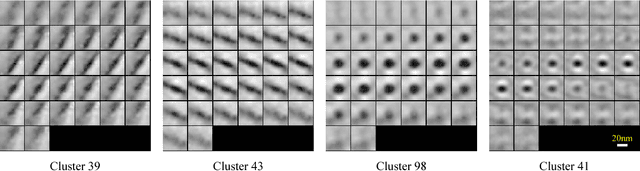 Figure 4 for A convolutional autoencoder approach for mining features in cellular electron cryo-tomograms and weakly supervised coarse segmentation