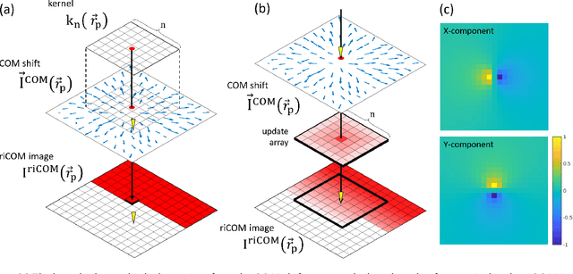 Figure 1 for Real Time Integration Centre of Mass (riCOM) Reconstruction for 4D-STEM