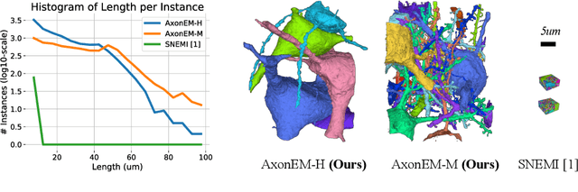 Figure 3 for AxonEM Dataset: 3D Axon Instance Segmentation of Brain Cortical Regions