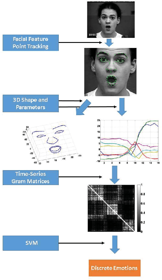 Figure 1 for Emotional Expression Classification using Time-Series Kernels