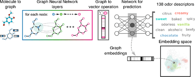 Figure 3 for Machine Learning for Scent: Learning Generalizable Perceptual Representations of Small Molecules