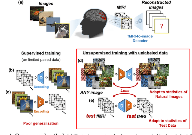 Figure 1 for From voxels to pixels and back: Self-supervision in natural-image reconstruction from fMRI