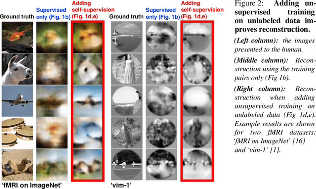 Figure 2 for From voxels to pixels and back: Self-supervision in natural-image reconstruction from fMRI