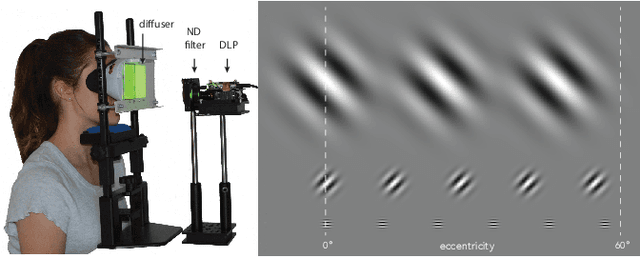 Figure 3 for A Perceptual Model for Eccentricity-dependent Spatio-temporal Flicker Fusion and its Applications to Foveated Graphics