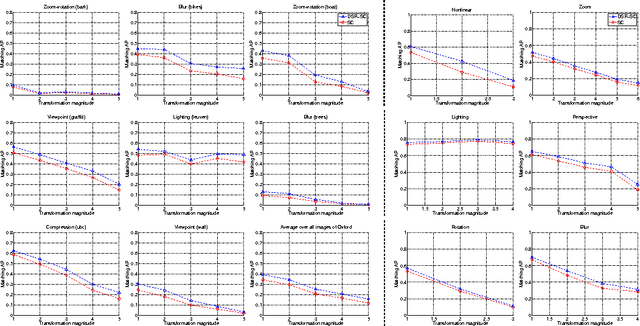 Figure 3 for Visual Scene Representations: Contrast, Scaling and Occlusion
