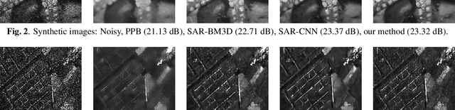Figure 4 for Towards Deep Unsupervised SAR Despeckling with Blind-Spot Convolutional Neural Networks