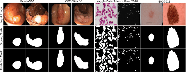 Figure 4 for MSRF-Net: A Multi-Scale Residual Fusion Network for Biomedical Image Segmentation