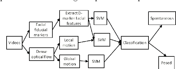 Figure 1 for Spontaneous vs. Posed smiles - can we tell the difference?
