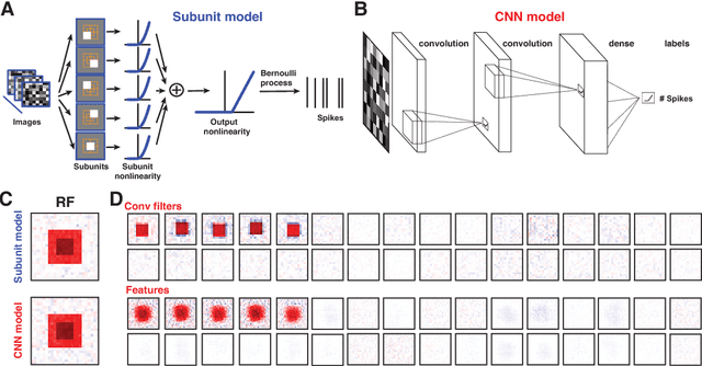 Figure 1 for Revealing structure components of the retina by deep learning networks