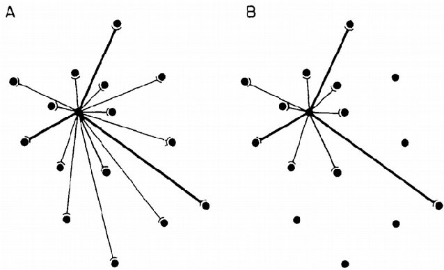 Figure 2 for A Review on Neural Network Models of Schizophrenia and Autism Spectrum Disorder