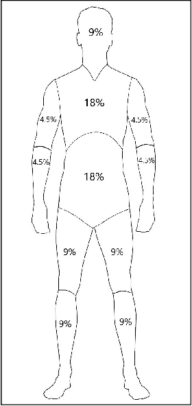 Figure 2 for An Objective Method for Pedestrian Occlusion Level Classification