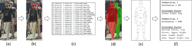 Figure 3 for An Objective Method for Pedestrian Occlusion Level Classification