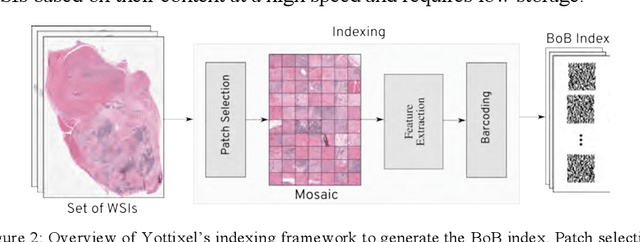 Figure 3 for Yottixel -- An Image Search Engine for Large Archives of Histopathology Whole Slide Images