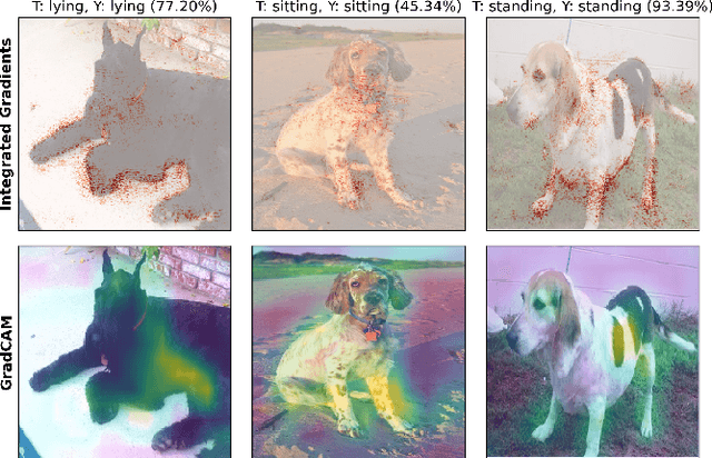 Figure 4 for Who's a Good Boy? Reinforcing Canine Behavior in Real-Time using Machine Learning