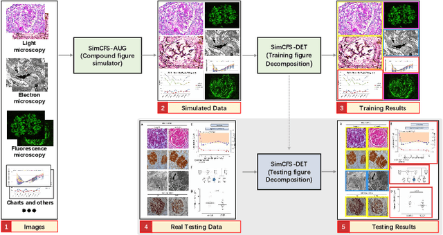 Figure 3 for Compound Figure Separation of Biomedical Images with Side Loss