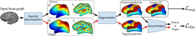 Figure 1 for Graph Domain Adaptation for Alignment-Invariant Brain Surface Segmentation