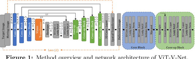 Figure 1 for ViT-V-Net: Vision Transformer for Unsupervised Volumetric Medical Image Registration