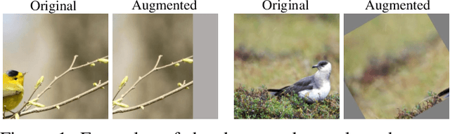 Figure 1 for SelectAugment: Hierarchical Deterministic Sample Selection for Data Augmentation