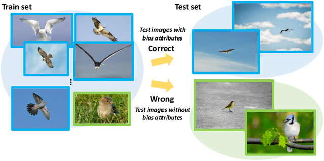 Figure 1 for DebiasBench: Benchmark for Fair Comparison of Debiasing in Image Classification