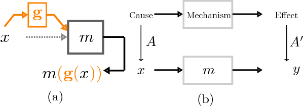 Figure 2 for Group invariance principles for causal generative models