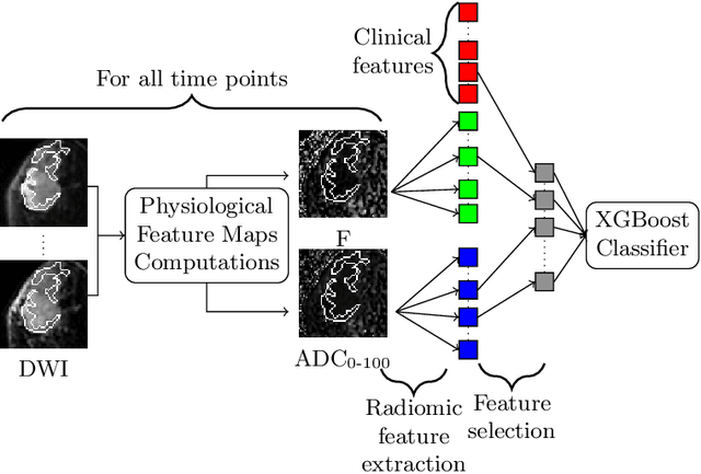 Figure 4 for PD-DWI: Predicting response to neoadjuvant chemotherapy in invasive breast cancer with Physiologically-Decomposed Diffusion-Weighted MRI machine-learning model