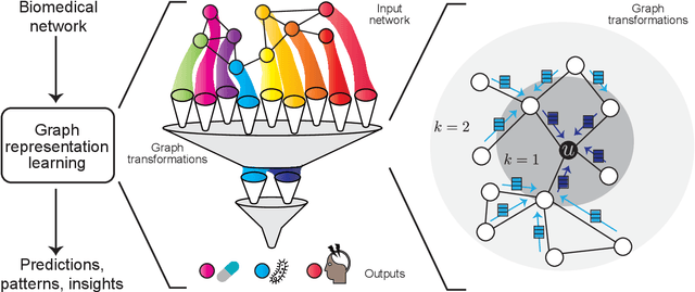 Figure 1 for Representation Learning for Networks in Biology and Medicine: Advancements, Challenges, and Opportunities