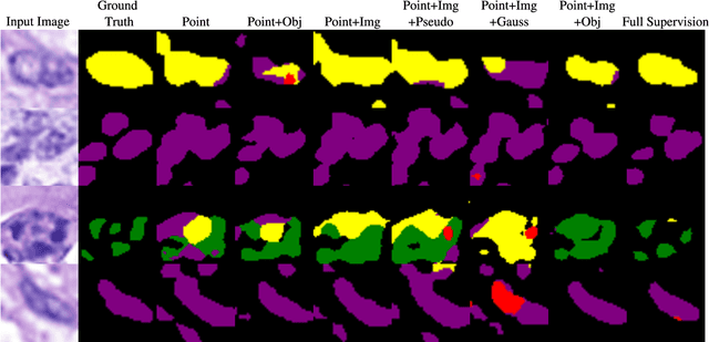 Figure 4 for Point-supervised Segmentation of Microscopy Images and Volumes via Objectness Regularization