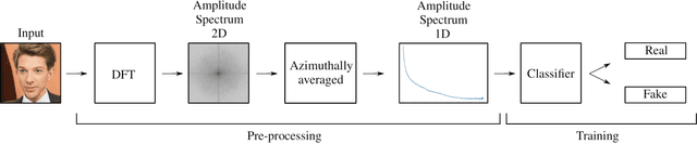 Figure 2 for Unmasking DeepFakes with simple Features
