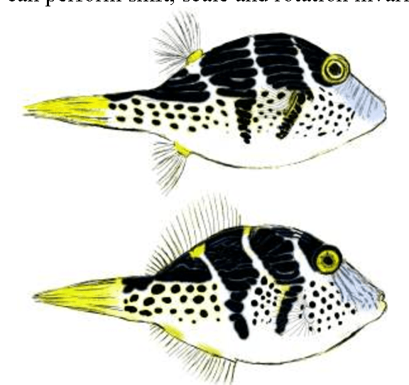 Figure 1 for The Ripple Pond: Enabling Spiking Networks to See