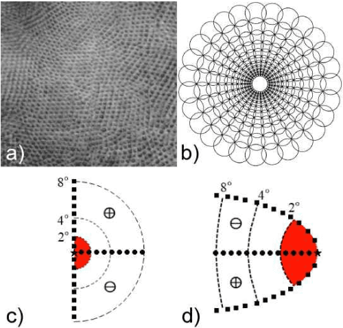 Figure 2 for The Ripple Pond: Enabling Spiking Networks to See