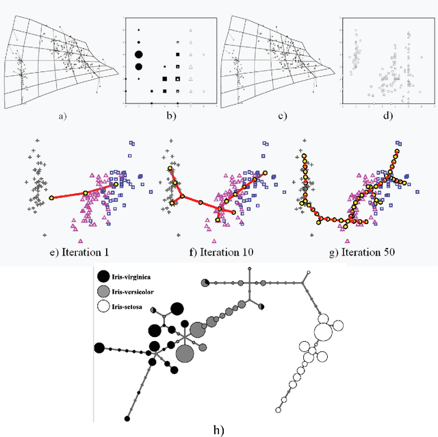 Figure 3 for Principal Graphs and Manifolds